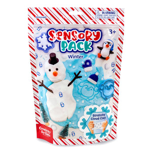 Sensory Pack Winter and Holiday Play Kit