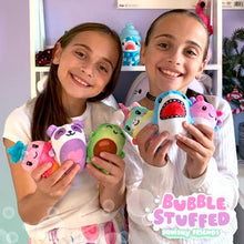 Load image into Gallery viewer, Bubble Stuffed Squishy Friends Original Plush Wrapped Fidget