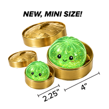Load image into Gallery viewer, Fun Doh MINI Fancy Mystery Dumpling Squishy Toy